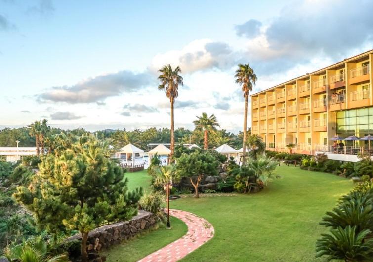 Blue Hawaii Hotel Jeju Exterior photo